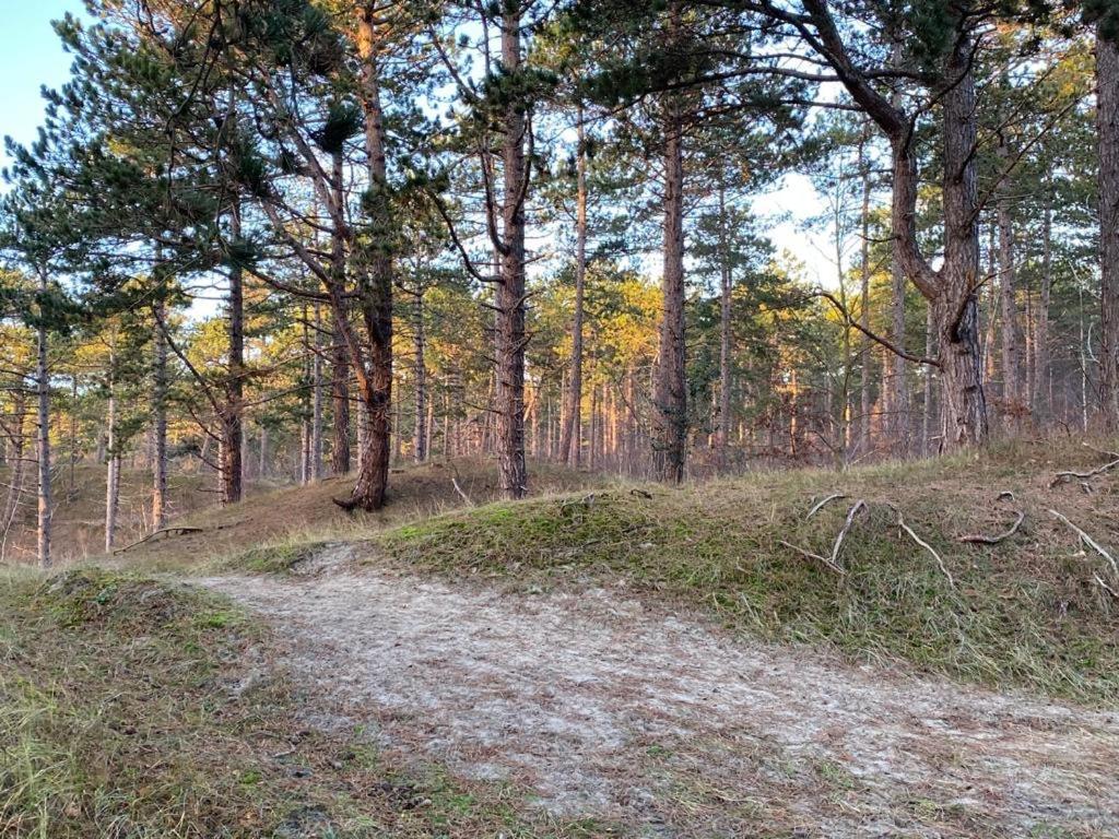 gezellig gastenverblijf in het centrum Burgh-Haamstede Buitenkant foto